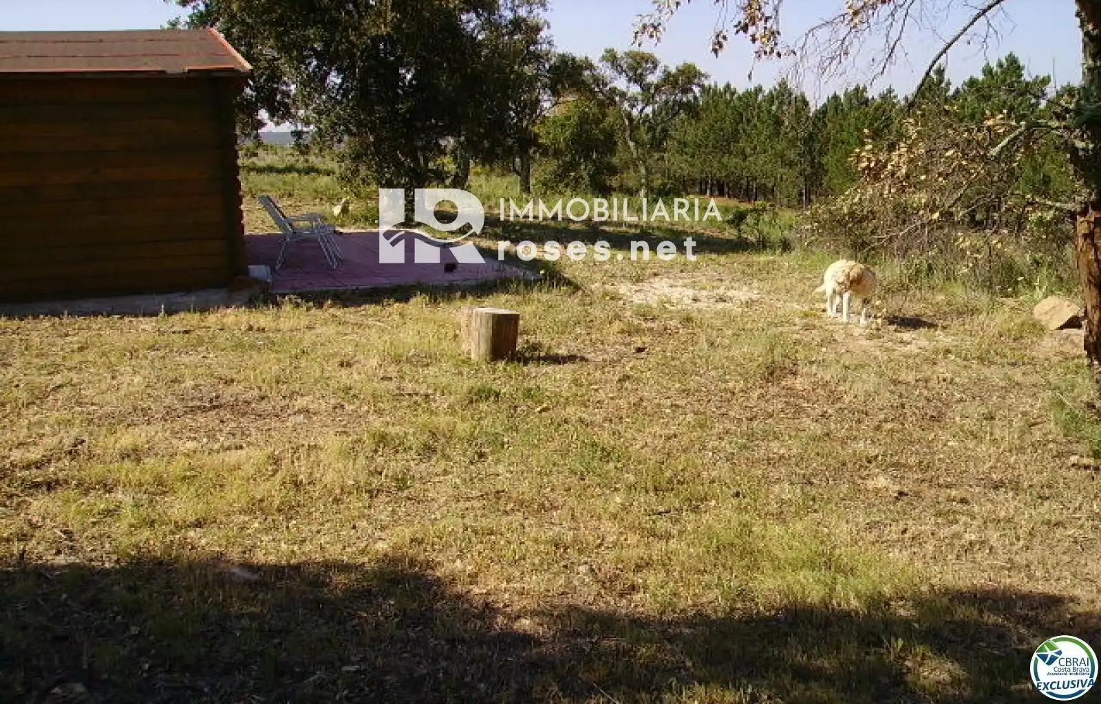Rural land for sale in Butaros, imagen 6