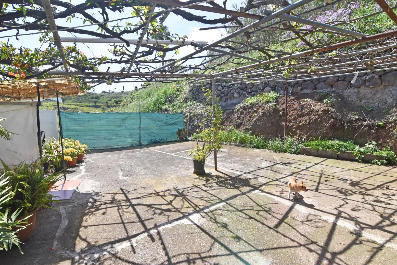 Jardín de Casa o chalet en venta en Firgas con Jardín privado, Terraza y Trastero