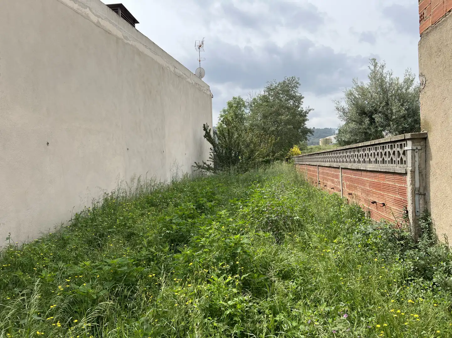 Rural land for sale in Centelles - Rabal  Falgueras 14, imagen 10