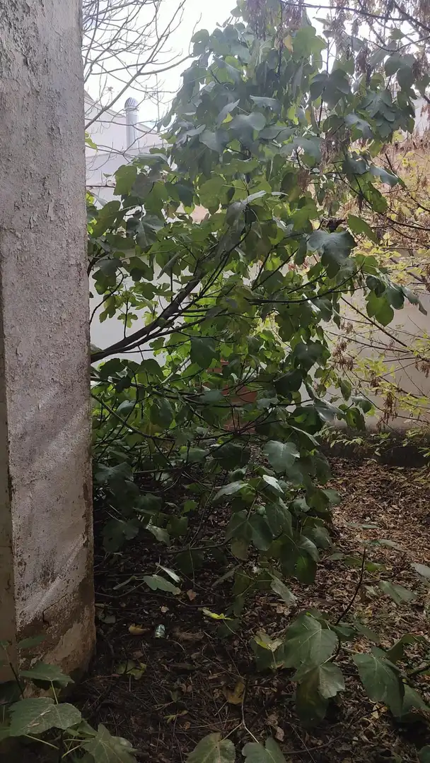 Casa o chalet en venta en Valdepeñas