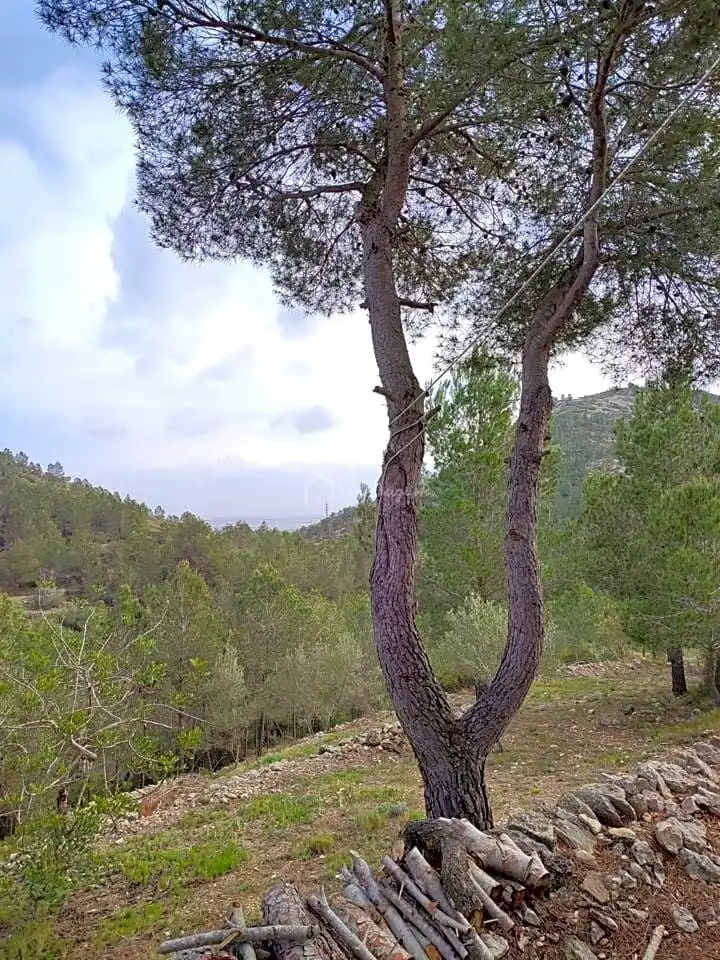 Terreno rustico in vendita a Pont Trencat, imagen 31