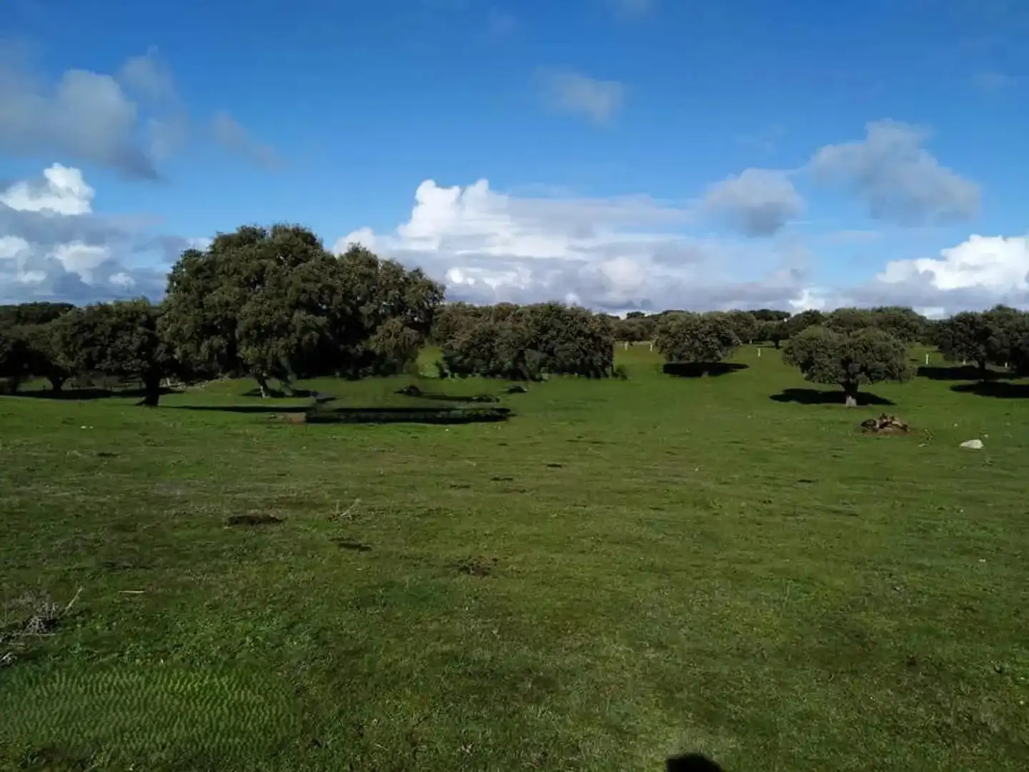 Land for sale in Vistahermosa