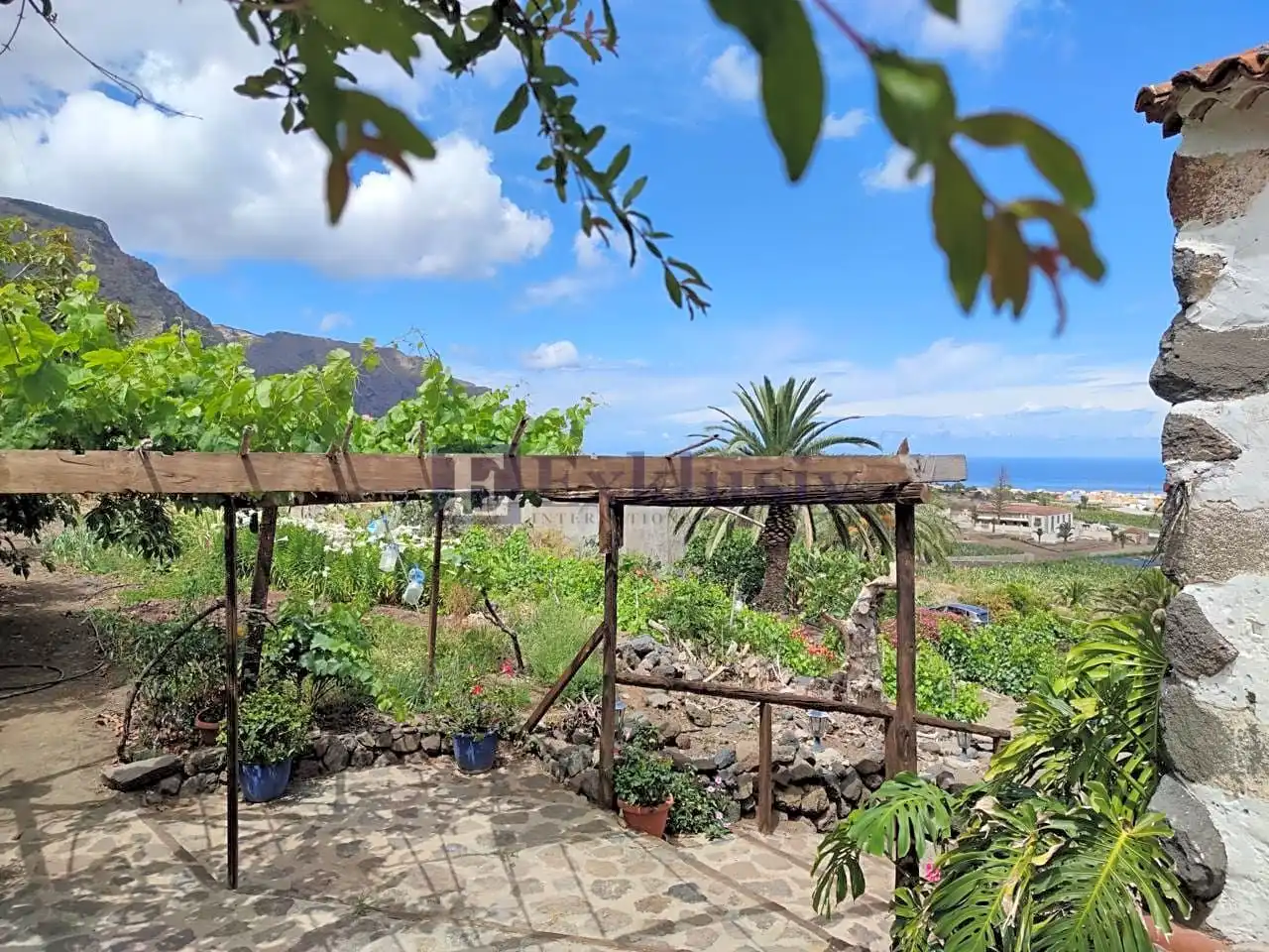 Country homes for sale in Buenavista del Norte