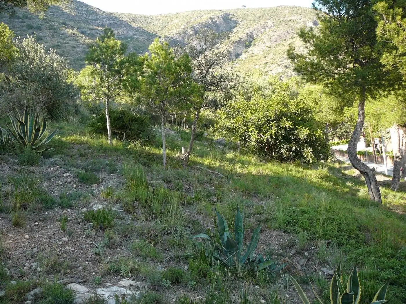 Terreny industrial en venda en Castelldefels