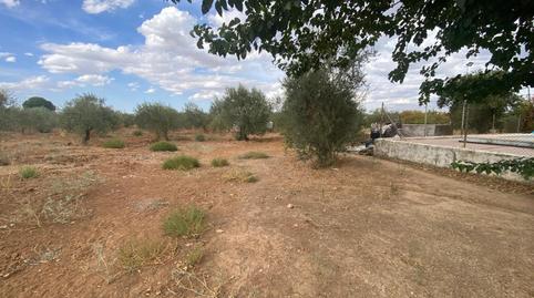 Photo 5 of House or chalet for sale in Arahal, Sevilla