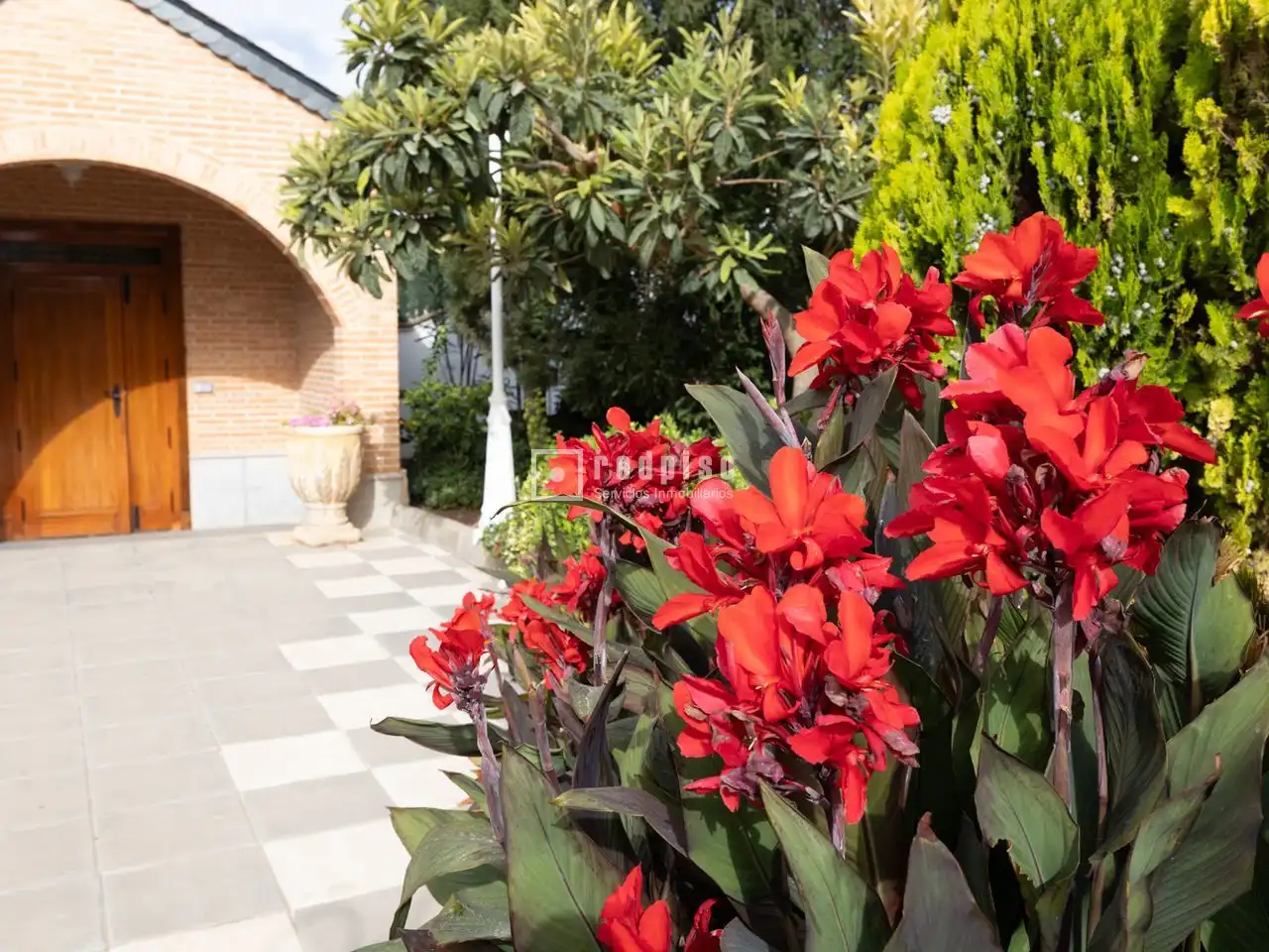 Jardín de Casa o chalet en venta en Madridejos con Aire acondicionado, Calefacción y Terraza