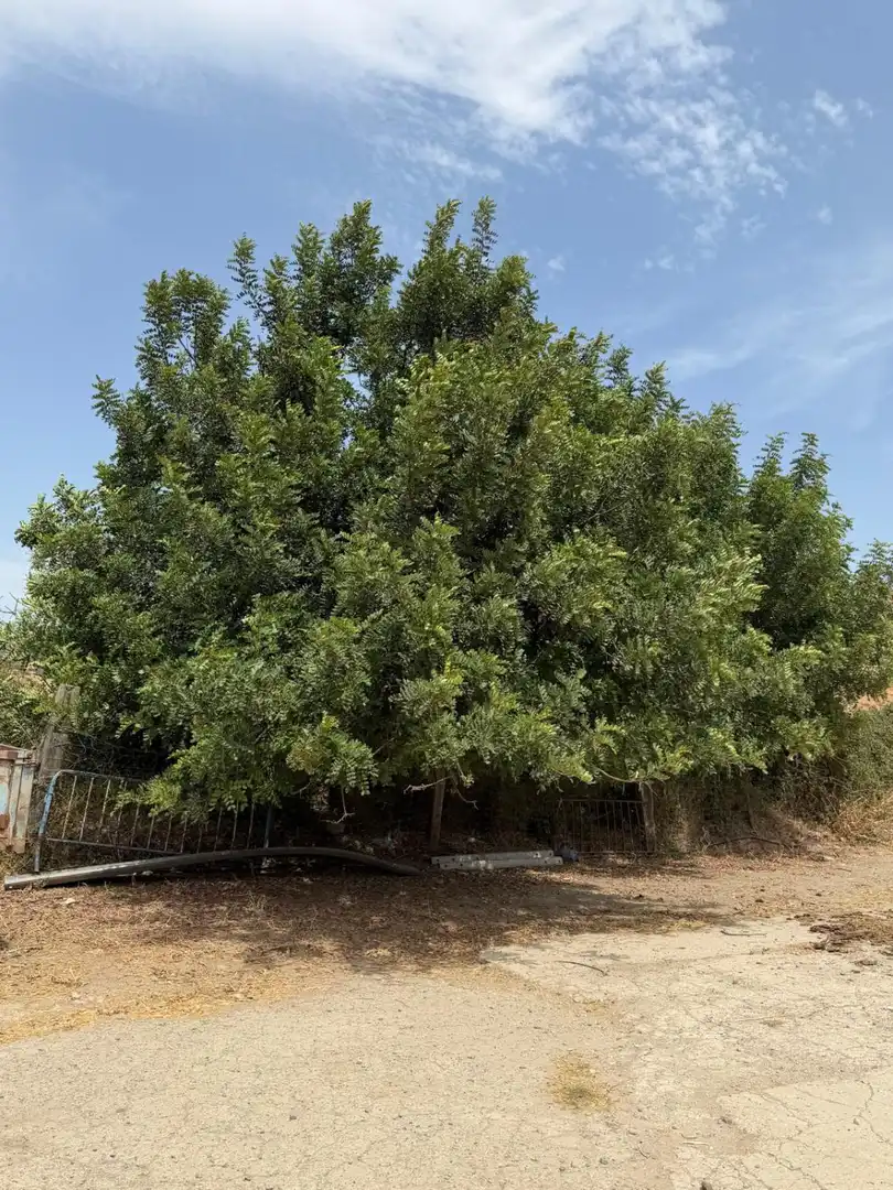 Casa rústica en venta en San Martín del Tesorillo, imagen 28