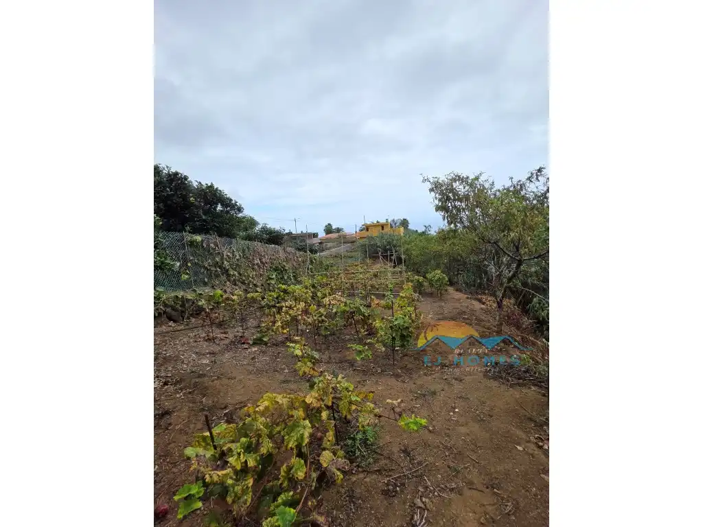 Houses for sale in La Orotava
