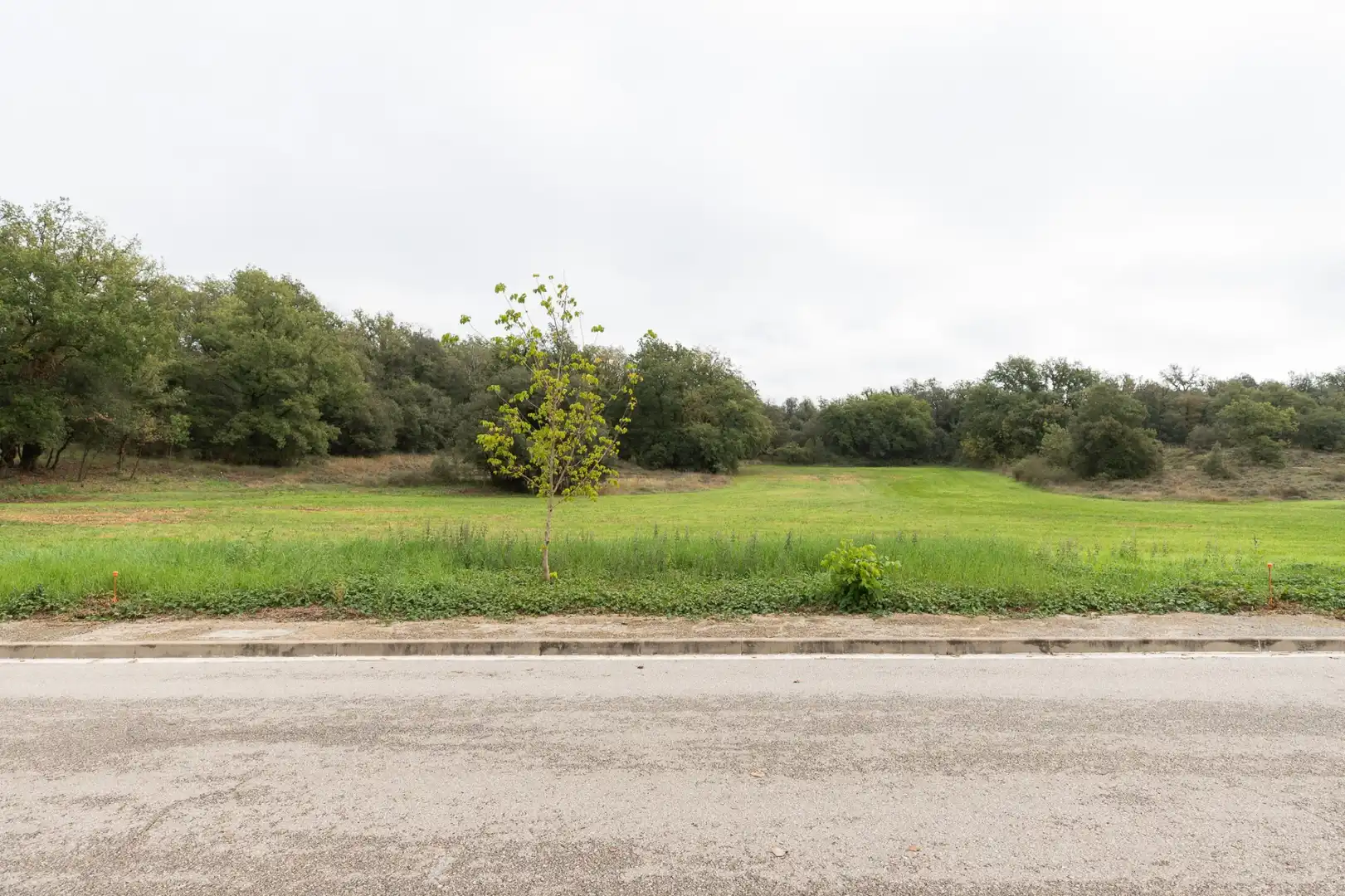 Lands and plots for sale in JOSEP PLA, imagen 2
