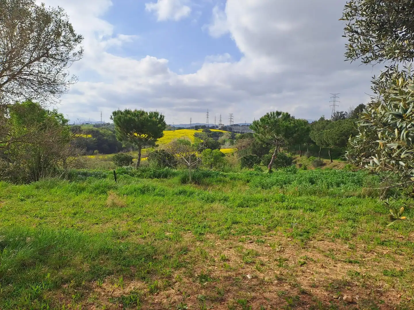 Land for sale in Terrassa