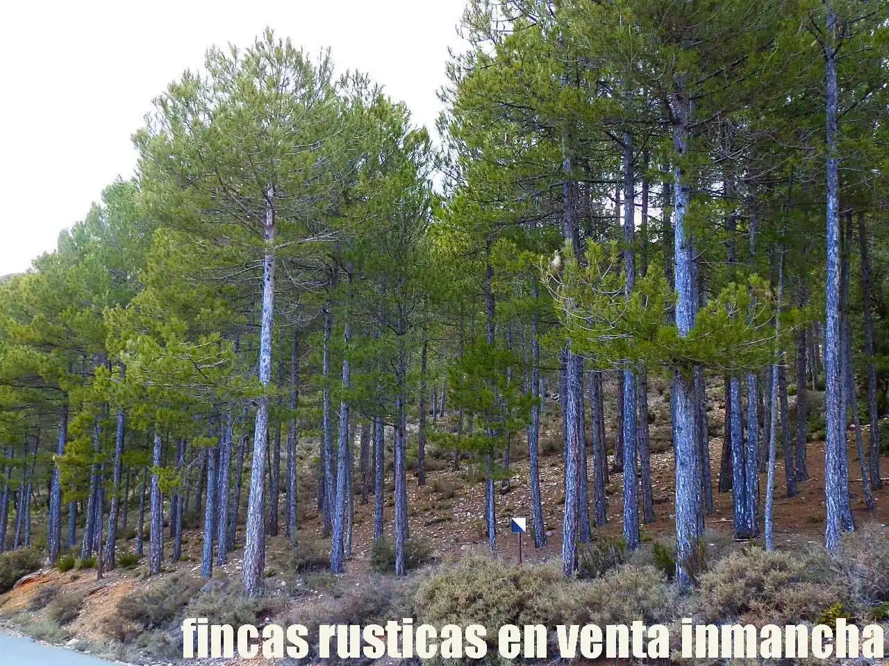 Terreno rústico en venta en Nerpio, imagen 9