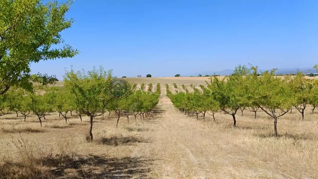Terreni e lotti in vendita a Méntrida, imagen 23