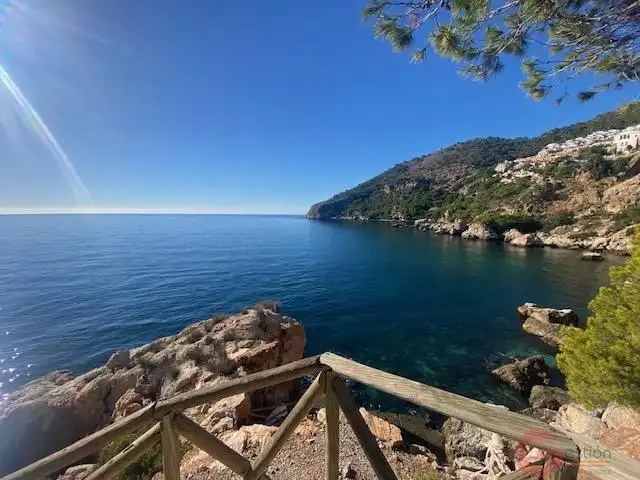 Houses for sale in Las Palomas