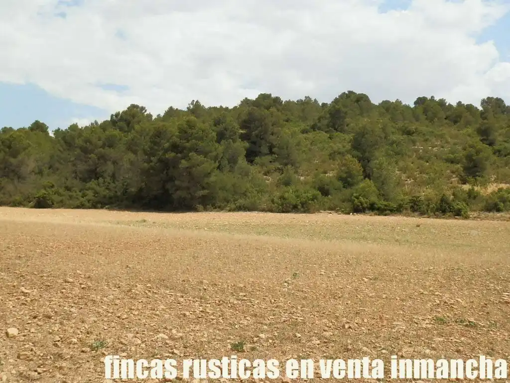 Rural land for sale in Chinchilla de Monte-Aragón, imagen 2