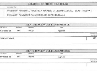 Terreno rústico en venta en LA TROMPETA PARCELA 123
