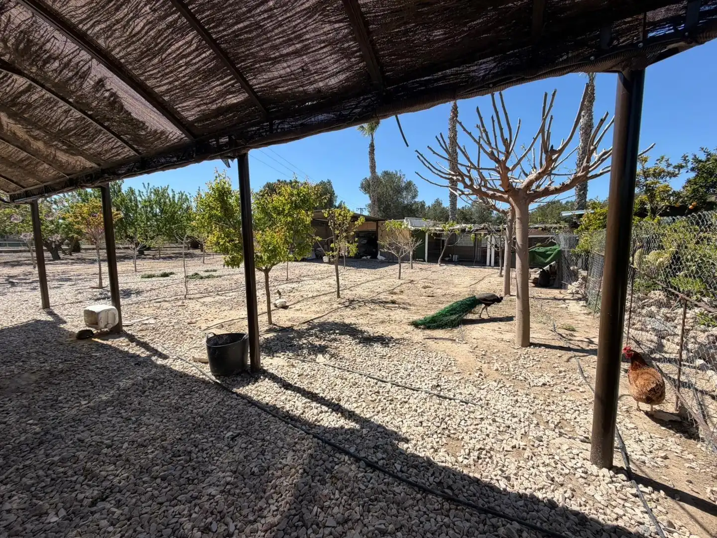 Villa mit Garten zum Verkauf in Monforte del Cid, imagen 52