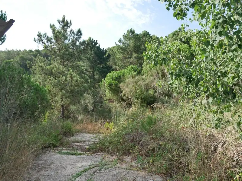 Residential land for sale in Avinguda Rafael Albertí 46, imagen 4