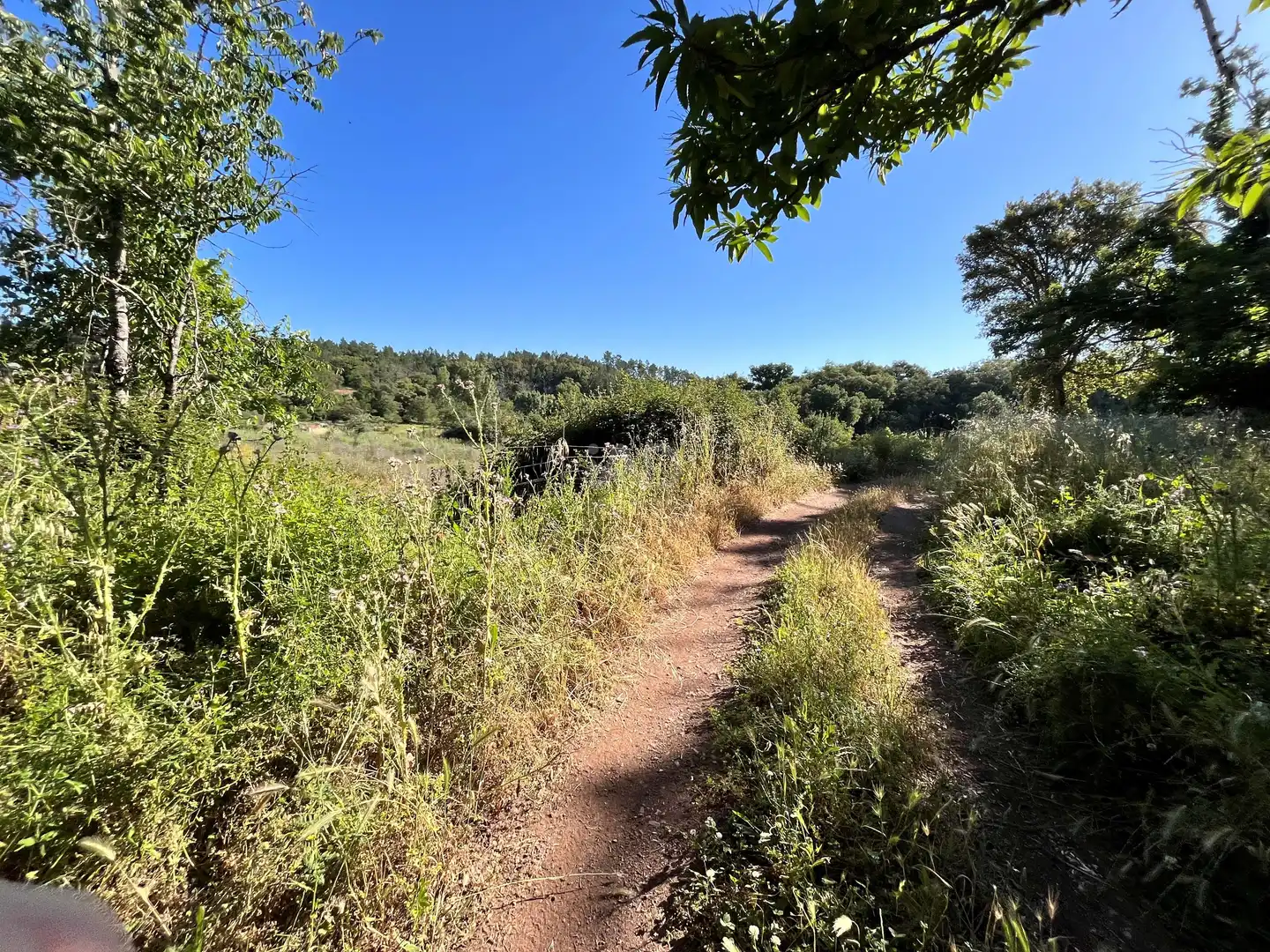 Residential for sale in Fuenteheridos