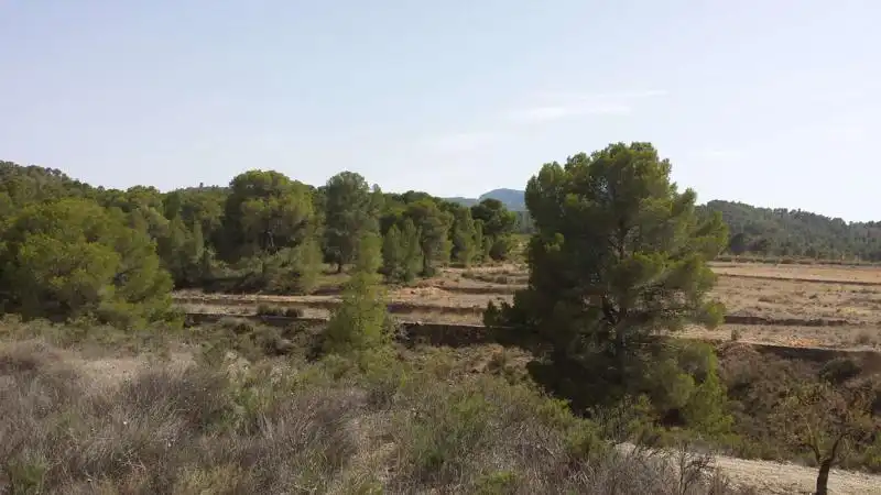 Villa avec jardin à vendre à Fortuna, imagen 61