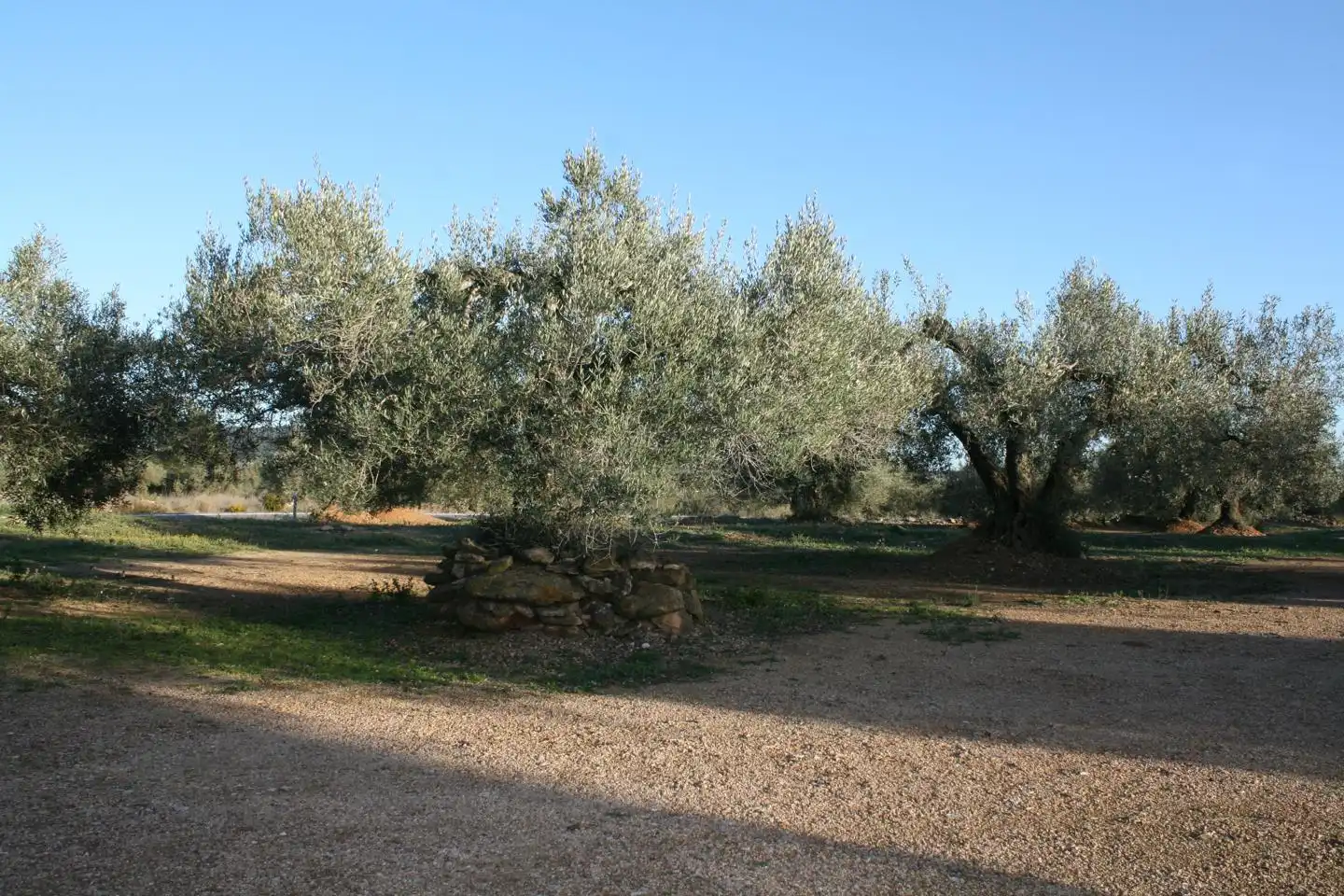 Casa rustica in vendita a burga, imagen 3