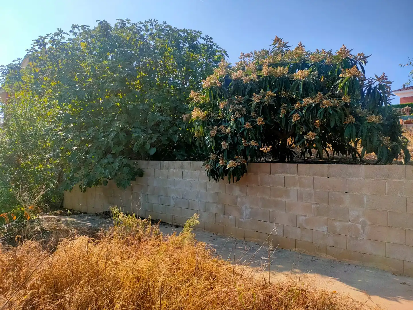 Residential land for sale in Carrer d'Eduard Toldrà, imagen 10