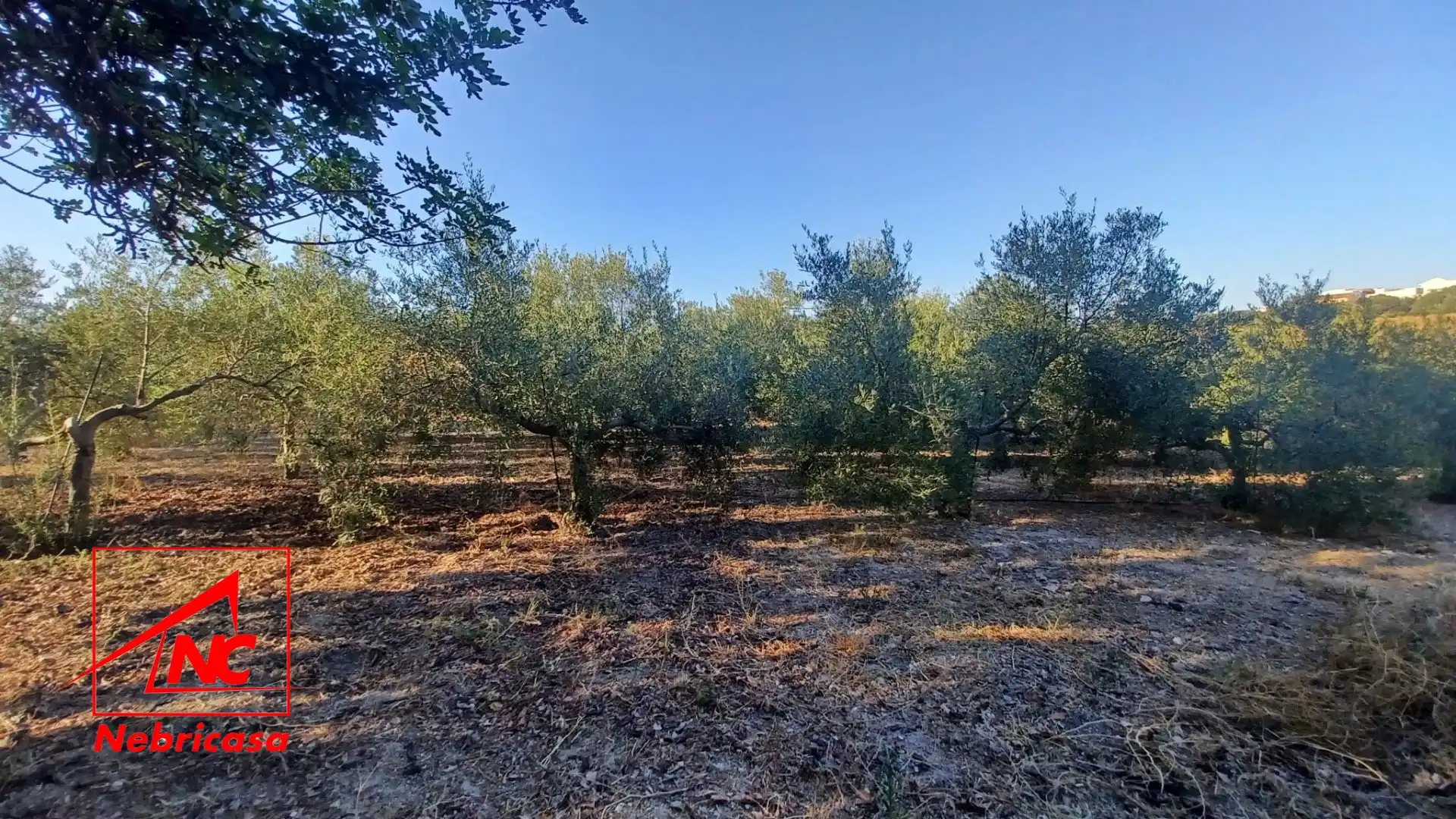 Lands and plots for sale in El Cuervo de Sevilla, imagen 9