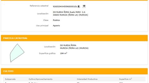 Foto 3 de Terreno en venta en Avenida Jerónimos, La Ñora, Murcia Capital