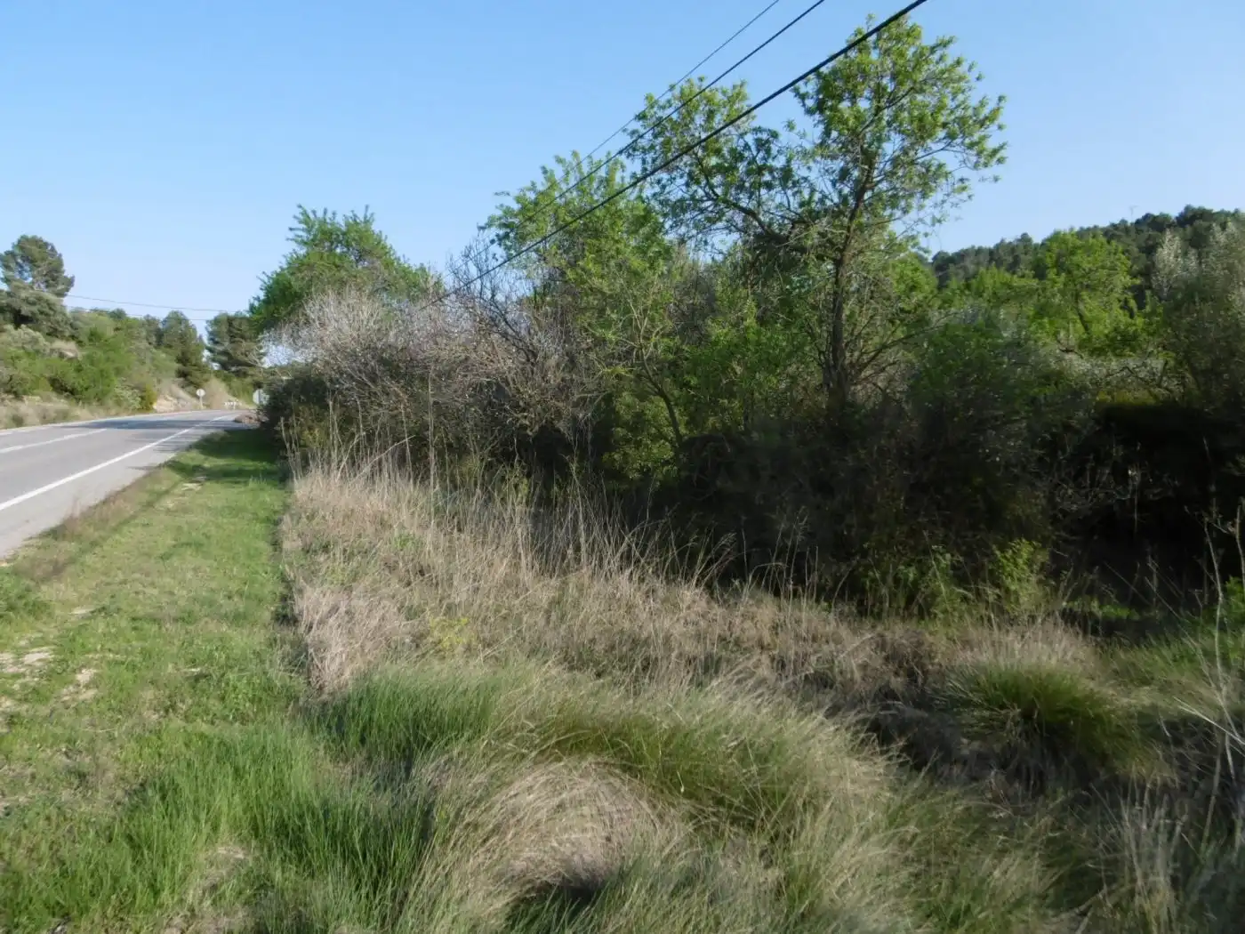 Terreny rústic en venda a Vall d'Alba, imagen 21