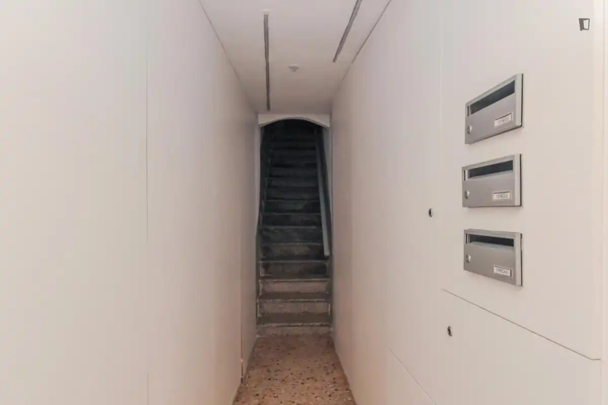 Room in Centre