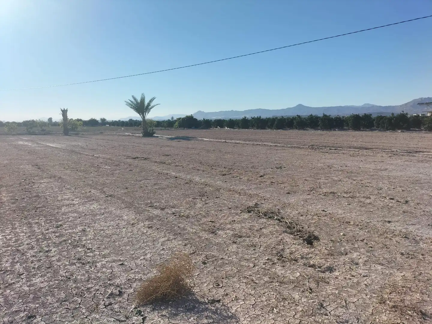 Casa rústica en venda a Granja de Rocamora, imagen 19