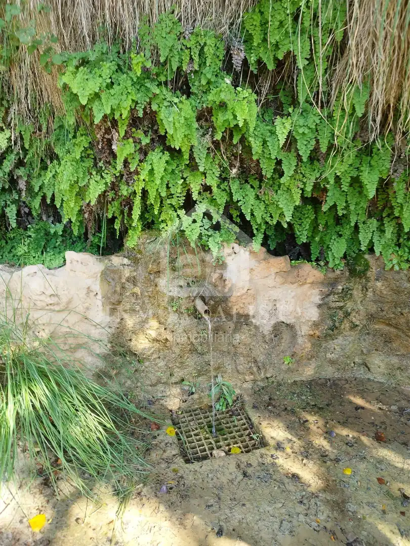 Rural land for sale in Cofrentes, imagen 35