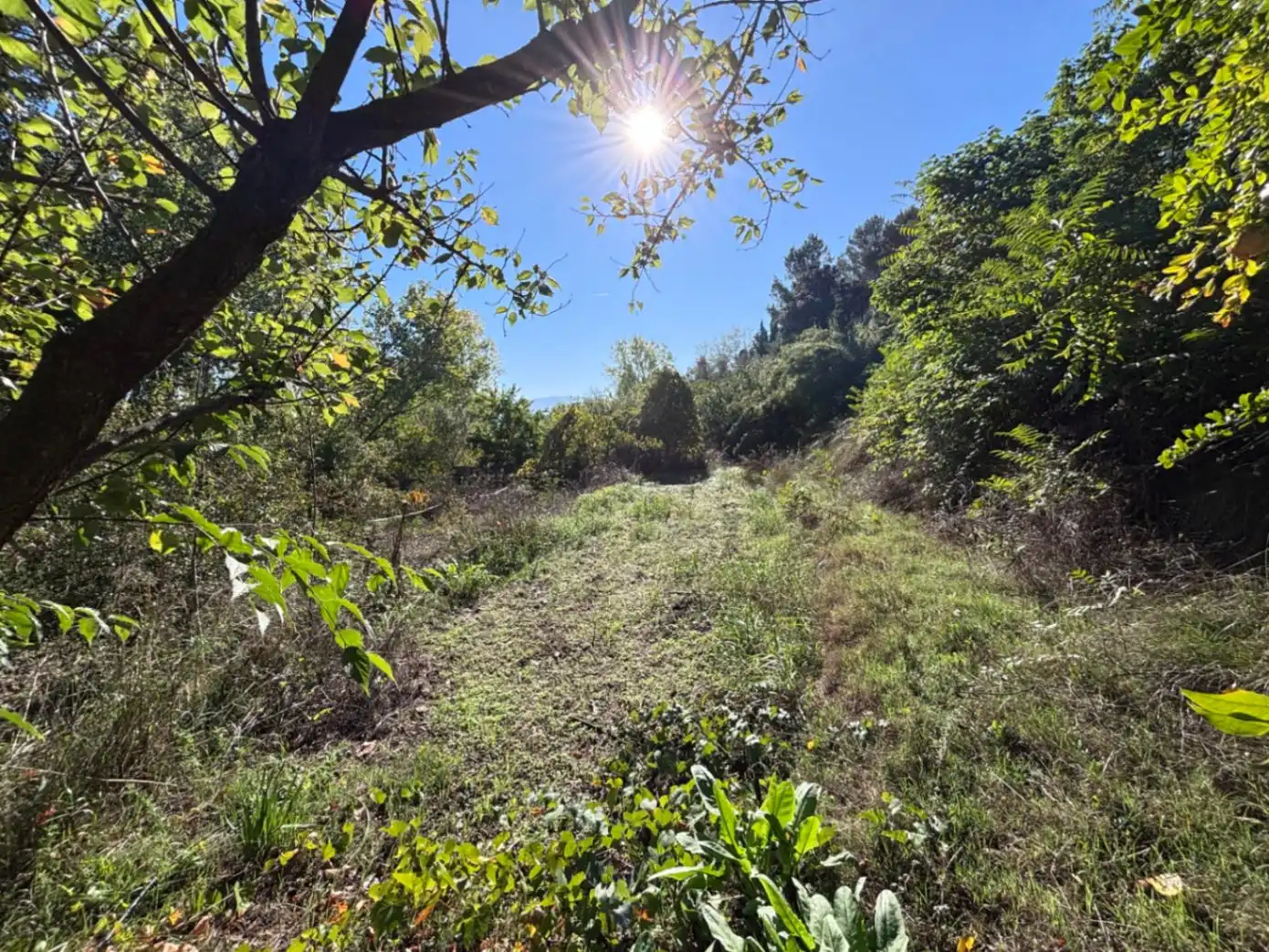 Maison avec jardin à vendre à Muro de Alcoy, imagen 28