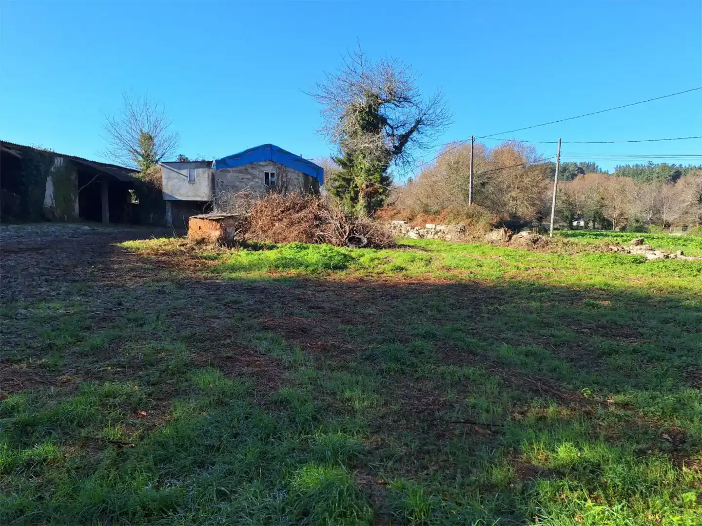Finca rústica en venta en Lugo
