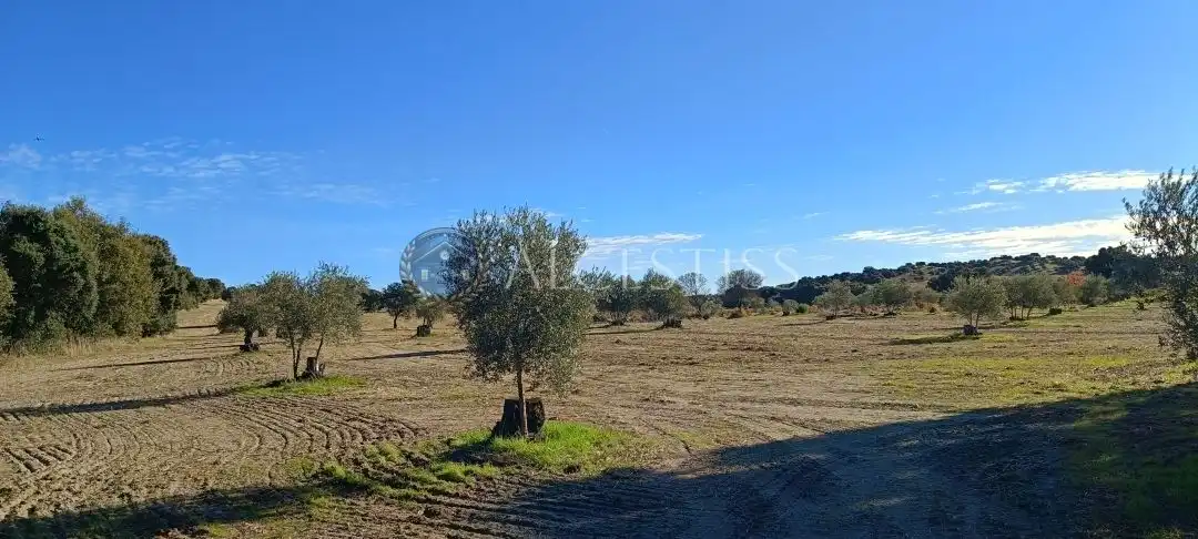 Terreno rústico en venta en Villamanta, imagen 4