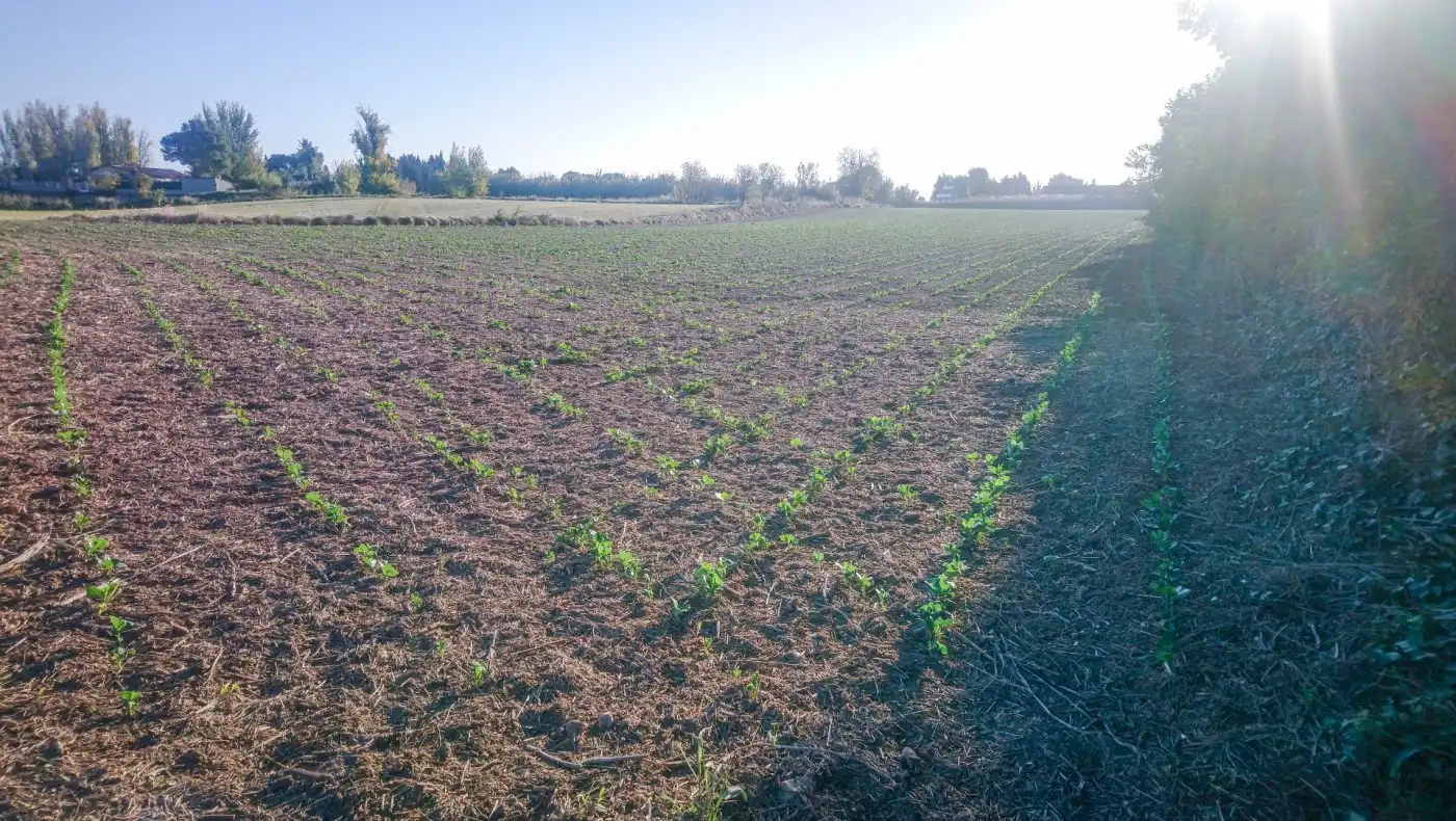 Terrain rustique à vendre à El Copao 163, imagen 7