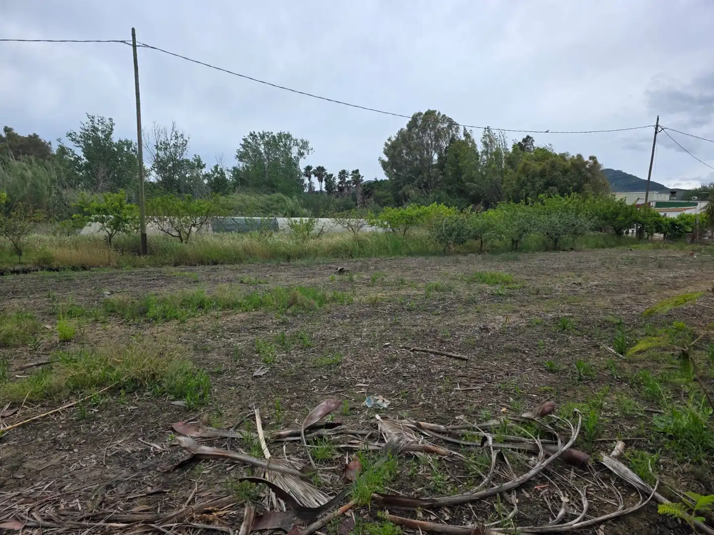Terreno en venta en Amposta