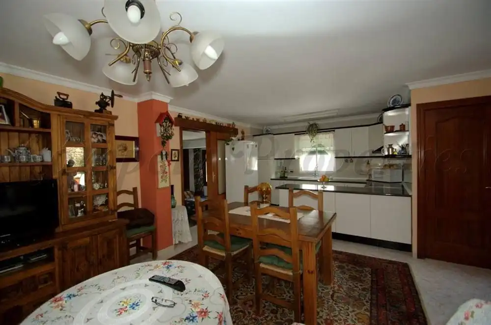 Maison avec terrasse à vendre à Cómpeta, imagen 29