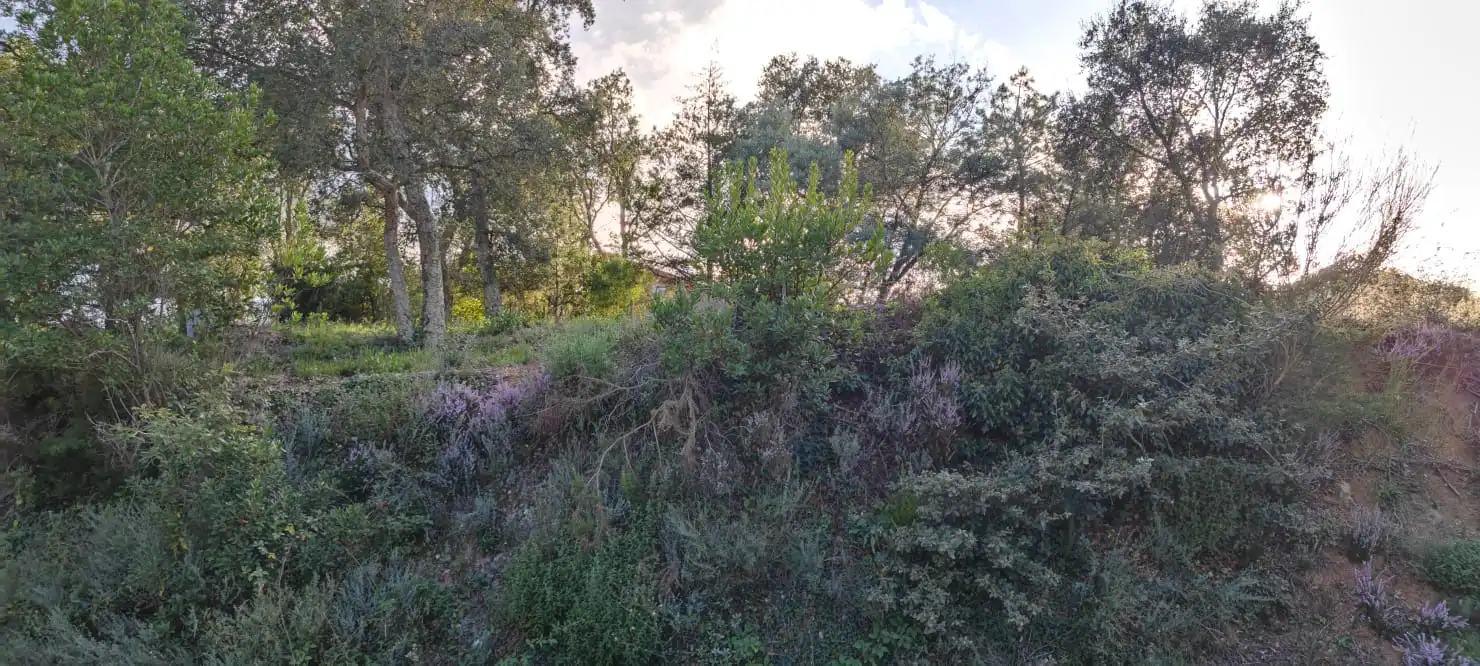 Wohnbaugrundstück zum Verkauf in Carrer del Baix Llobregat 805, imagen 7