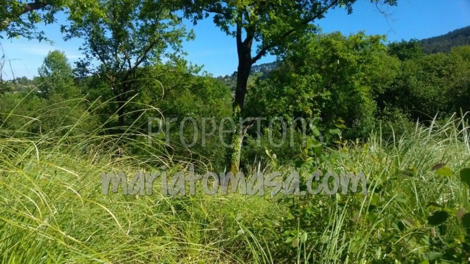 Lands and plots for sale in Mungia, imagen 7