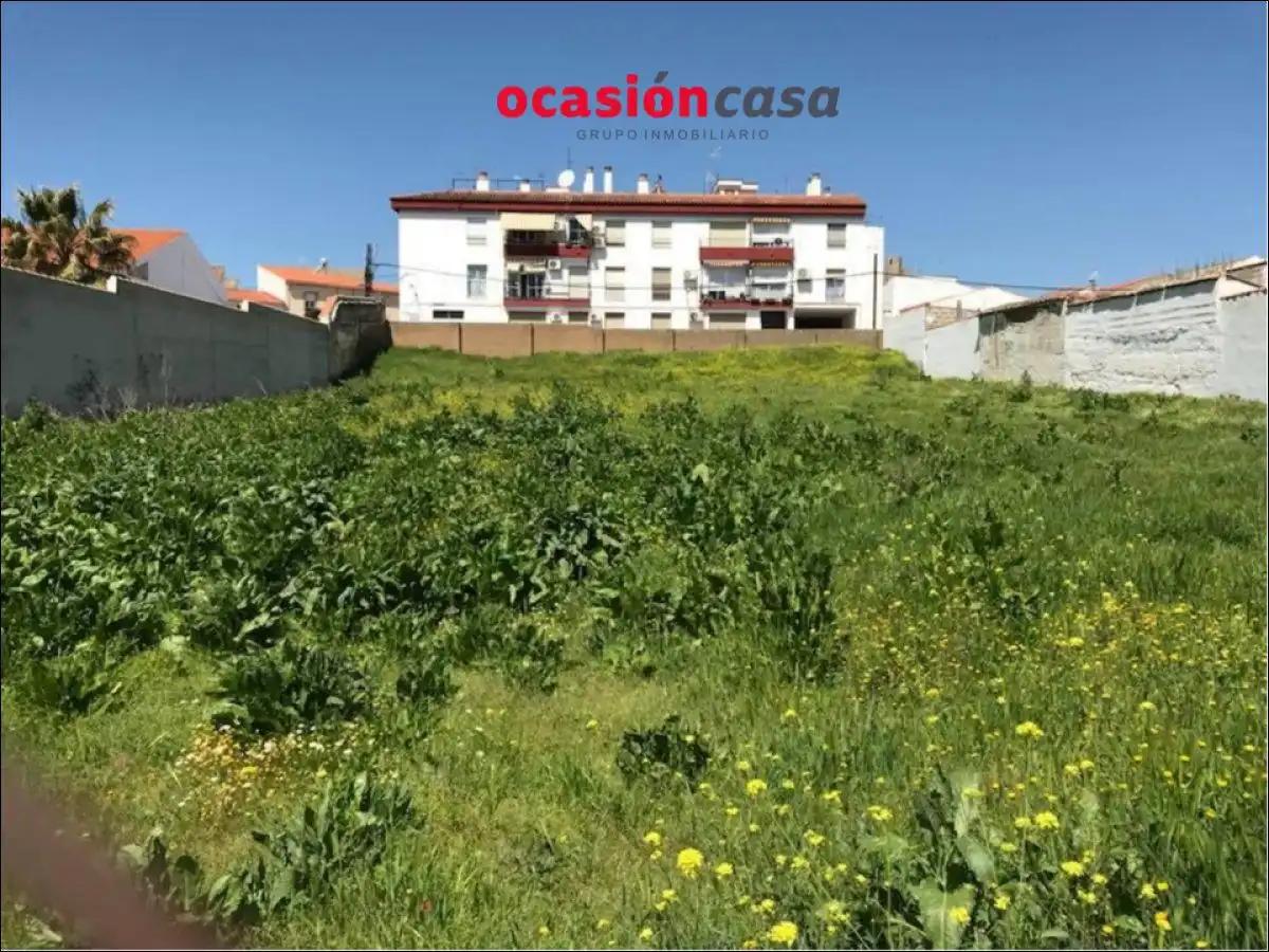 2 SOLARES DE 450 M2 CADA UNO A LA VENTA EN BELMEZ, imatge 4