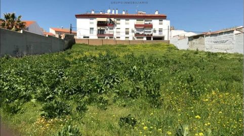 2 SOLARES DE 450 M2 CADA UNO A LA VENTA EN BELMEZ, imatge 4