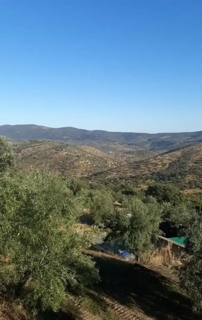 Terreno en venta en Villaharta, Córdoba