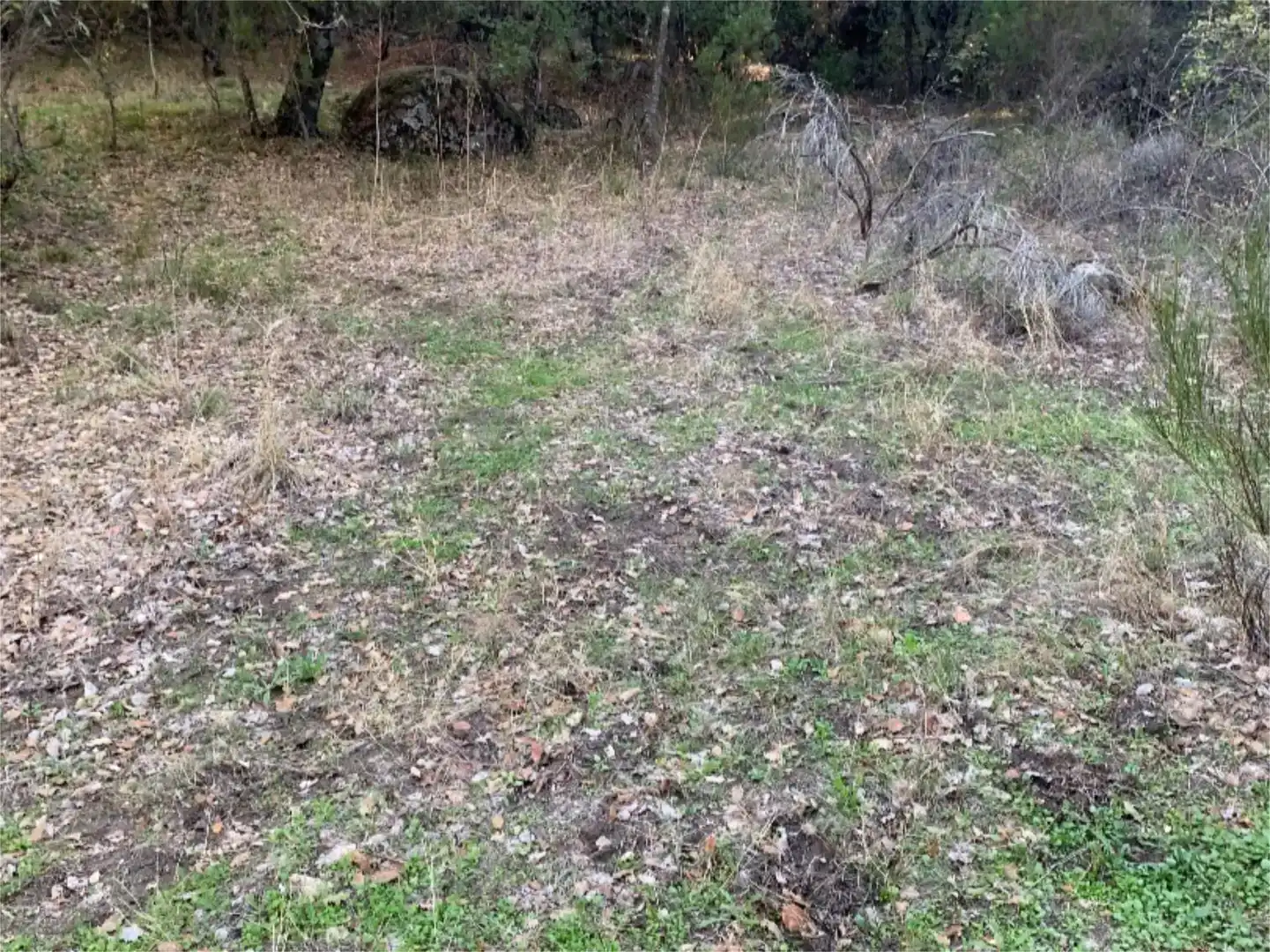 Finca rústica en venta en La Adrada 
