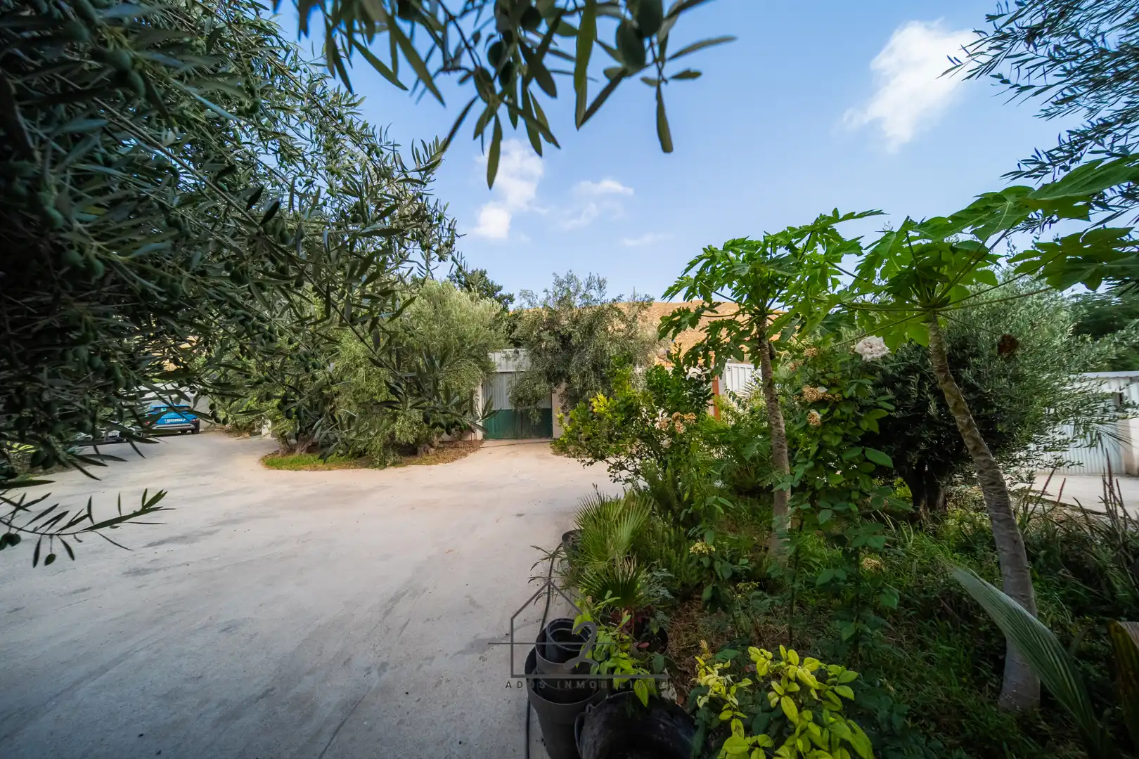 Garden of Land for sale in Vícar