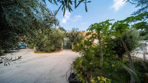 Foto 3 de Terreny en venda a Camino Huerta la Era, Vícar Pueblo, Almería