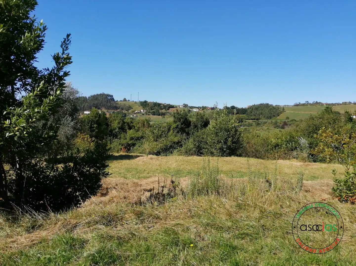 Terreno rustico in vendita a Lugar el Fonduxu, imagen 6