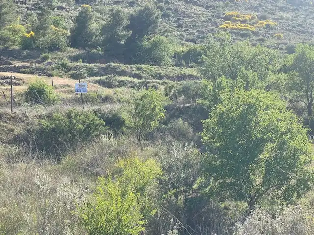Terreno rústico en venta en Paraje los Molinicos 1, imagen 10