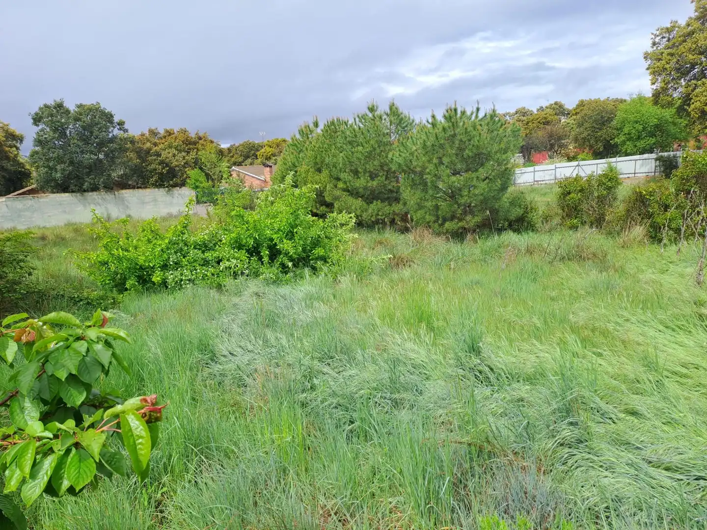 Residential for sale in Ituero y Lama