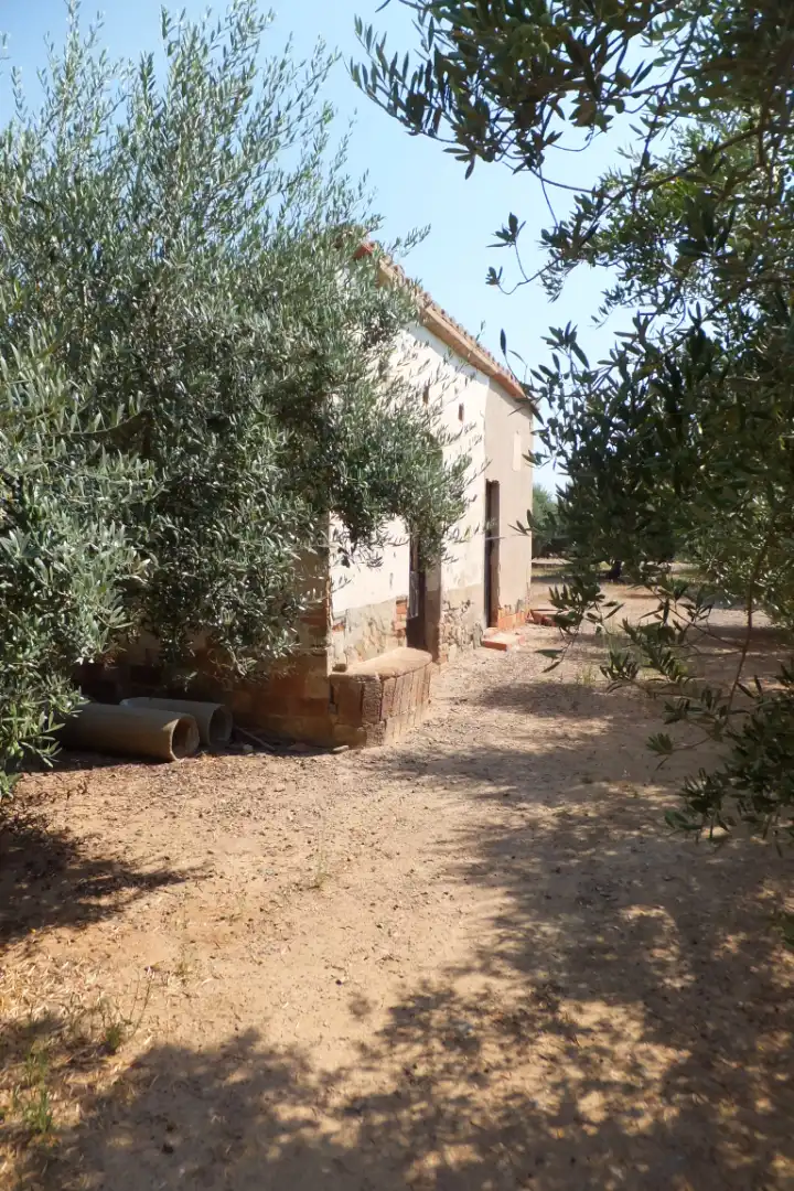 Terreno rústico en venta en Vial Camino, imagen 2