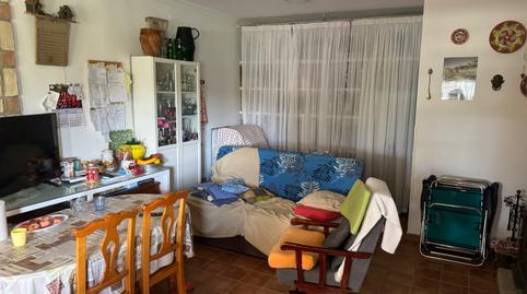 Foto 5 de Finca rústica en venda a La Jara, Cádiz